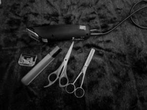 Dog Grooming Instruments