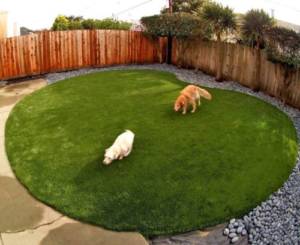 Tips to Avoid Urine Retention in Artificial Grass