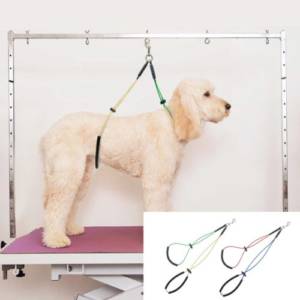 Features of a Good Dog Grooming Table